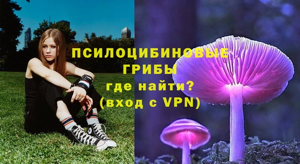 амф Алексин