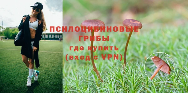 кокс Алзамай
