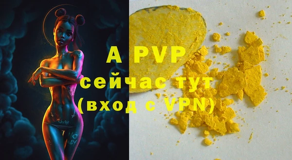 амф Алексин