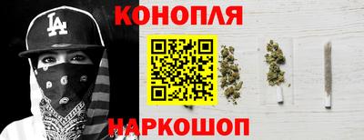 индика Краснознаменск
