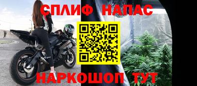 индика Краснознаменск