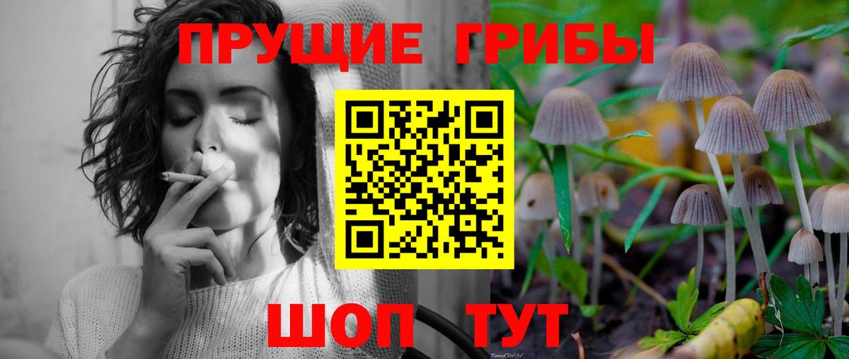 Псилоцибиновые грибы MAGIC MUSHROOMS Камышин