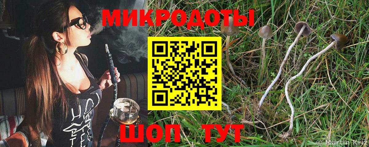 Камышин  Галлюциногенные грибы мицелий  Галлюциногенные грибы MAGIC MUSHROOMS  даркнет сайт  Вход с VPN 