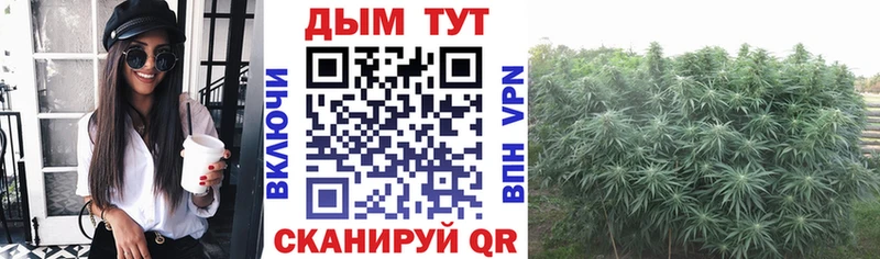 Канабис индика  Камышин 